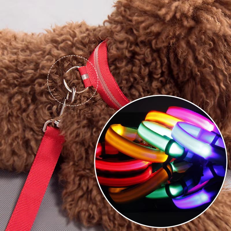 Luminous LED Dog Collar – Reflective Nylon Night Safety Collar | Glow-in-the-Dark Flashing Light-Up Pet Accessory