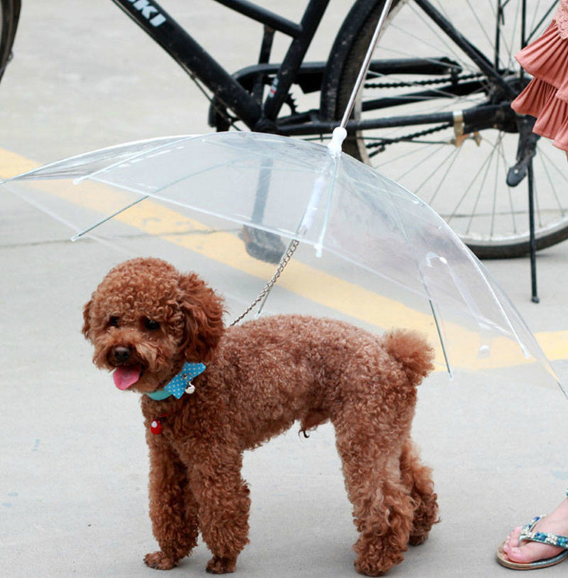 Premium Dog Umbrella – Keep Your Pet Dry and Comfortable