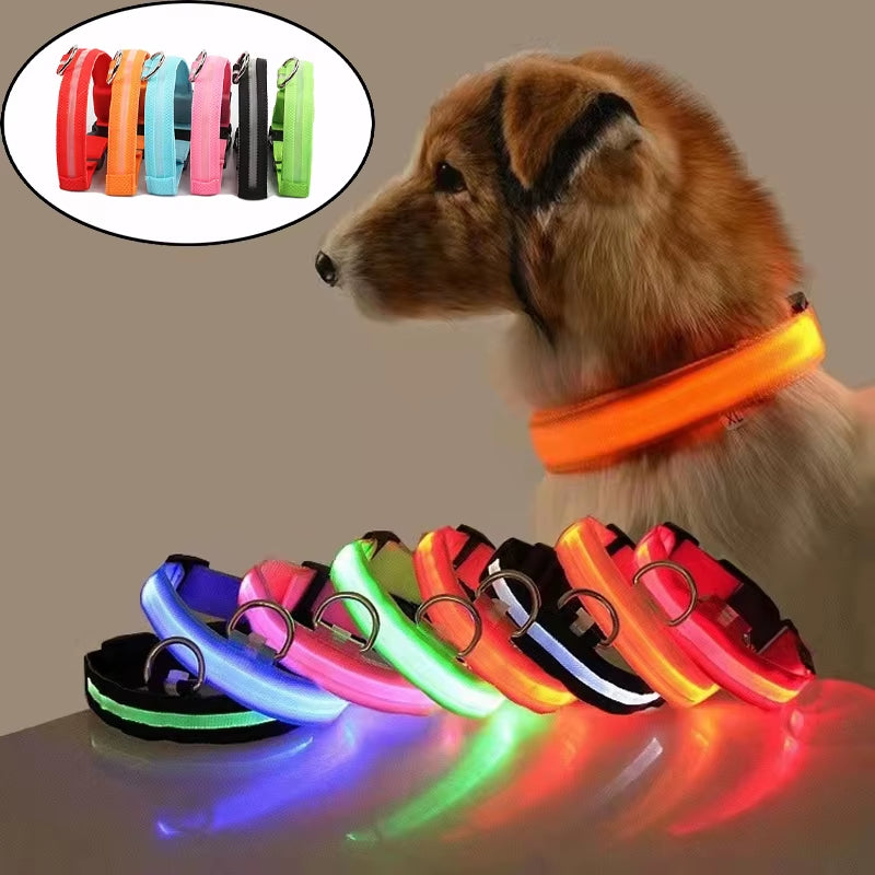 Luminous LED Dog Collar – Reflective Nylon Night Safety Collar | Glow-in-the-Dark Flashing Light-Up Pet Accessory