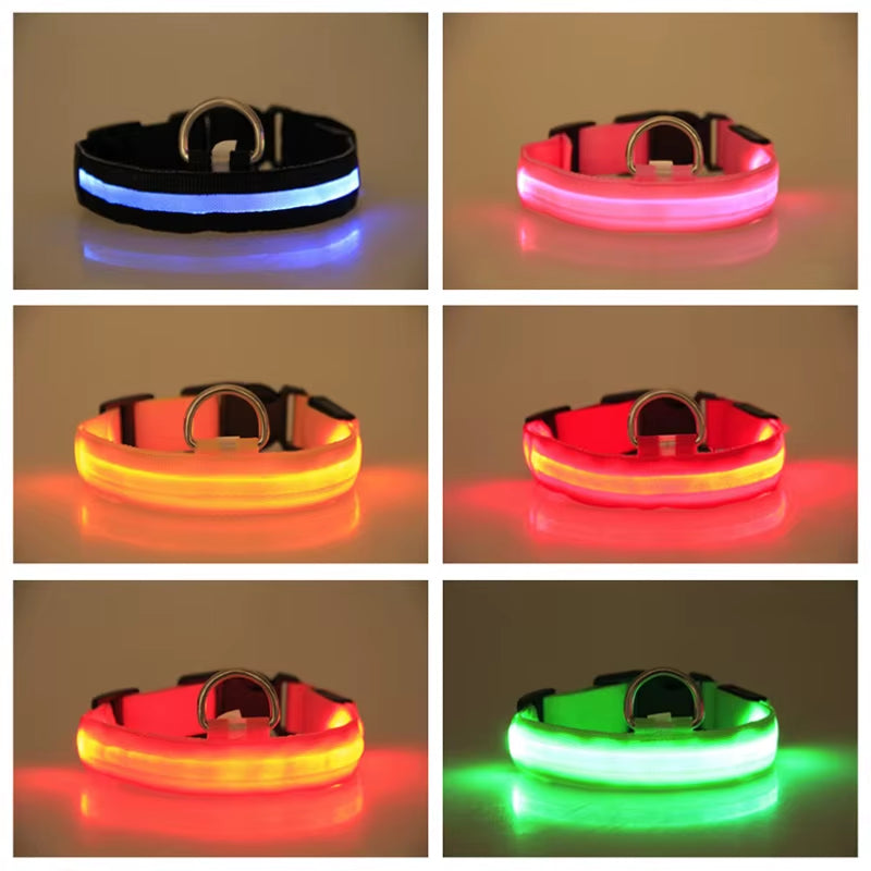 Luminous LED Dog Collar – Reflective Nylon Night Safety Collar | Glow-in-the-Dark Flashing Light-Up Pet Accessory