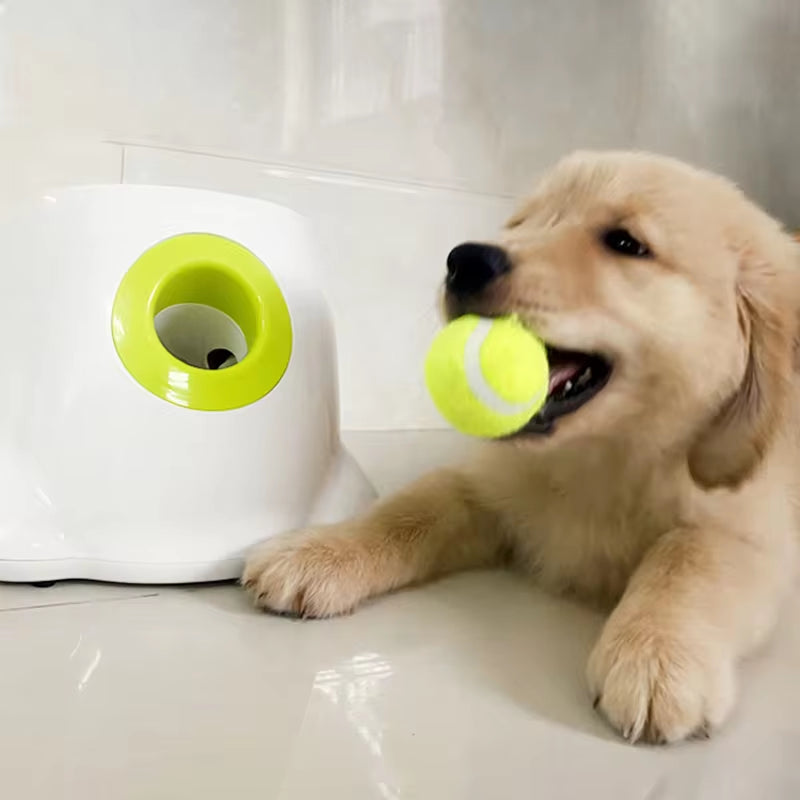 Dog Ball Launcher – Automatic Tennis Ball Thrower for Active Play! 🎾🐶